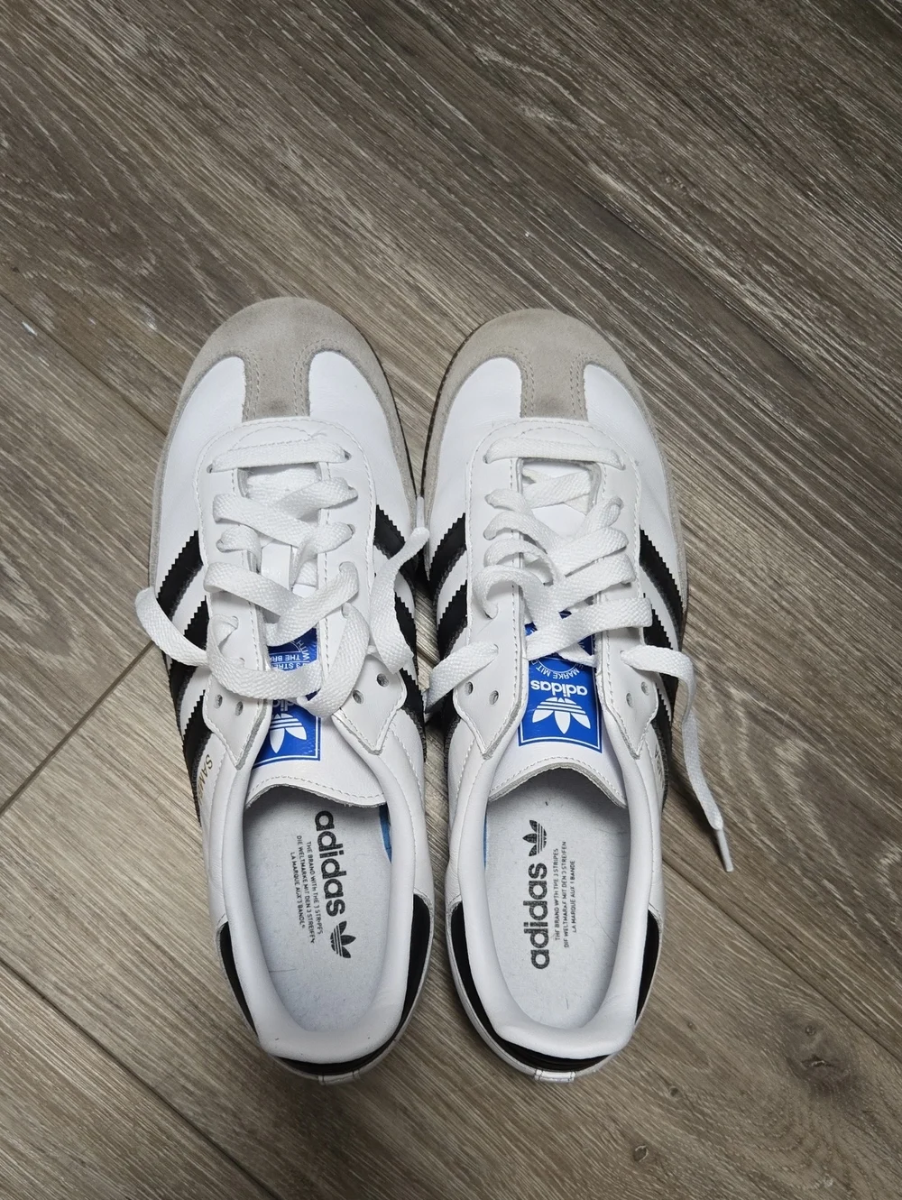 ADIDAS Samba - Picture 1 of 4
